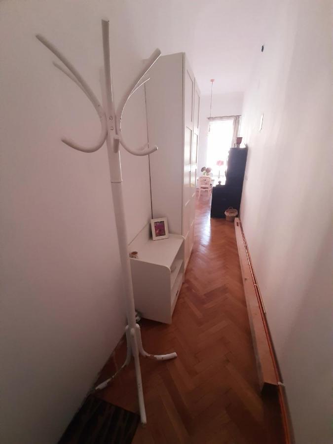 Central Loft Apartment 布拉索夫 外观 照片