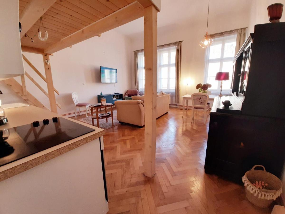 Central Loft Apartment 布拉索夫 外观 照片