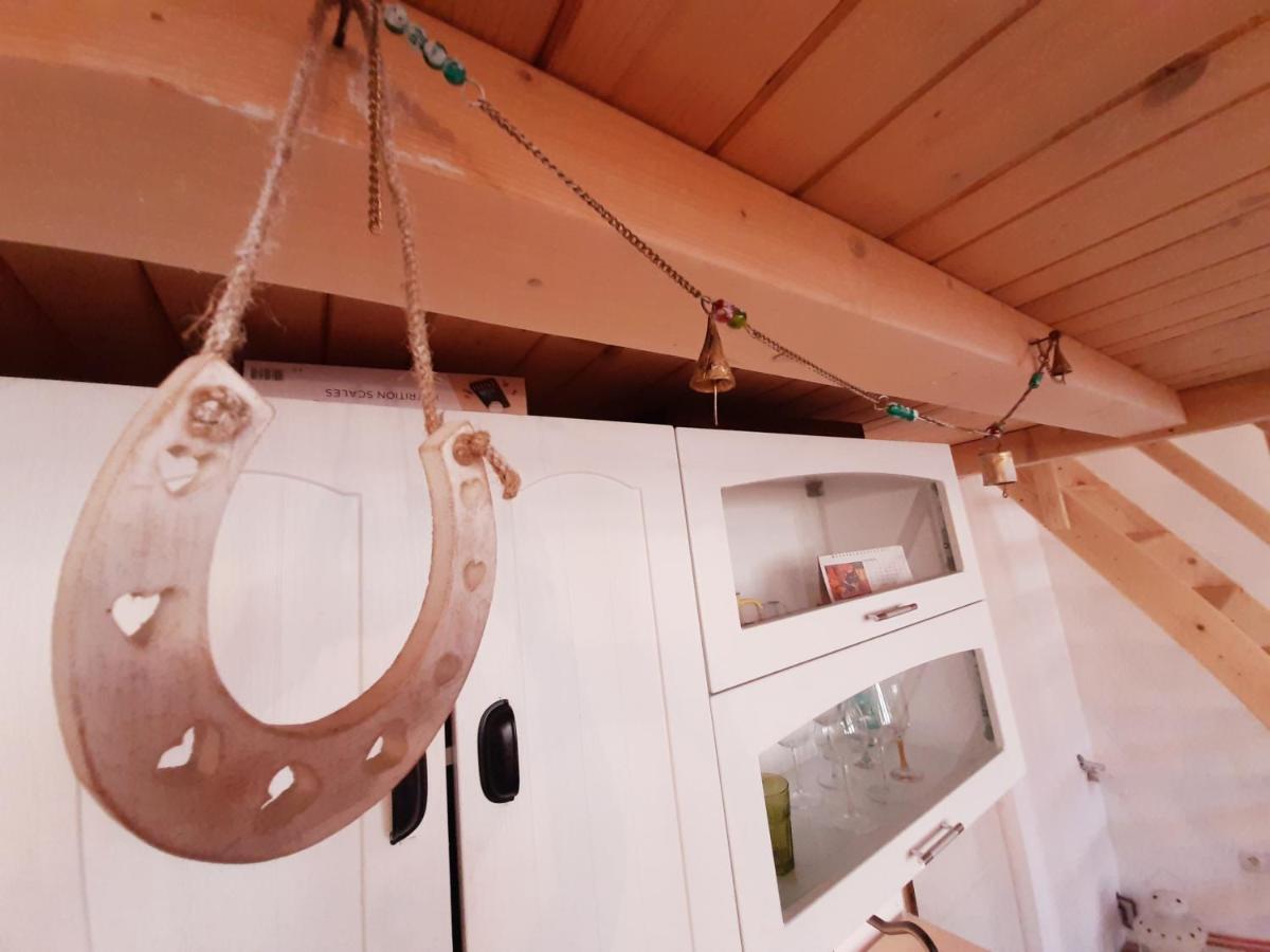 Central Loft Apartment 布拉索夫 外观 照片