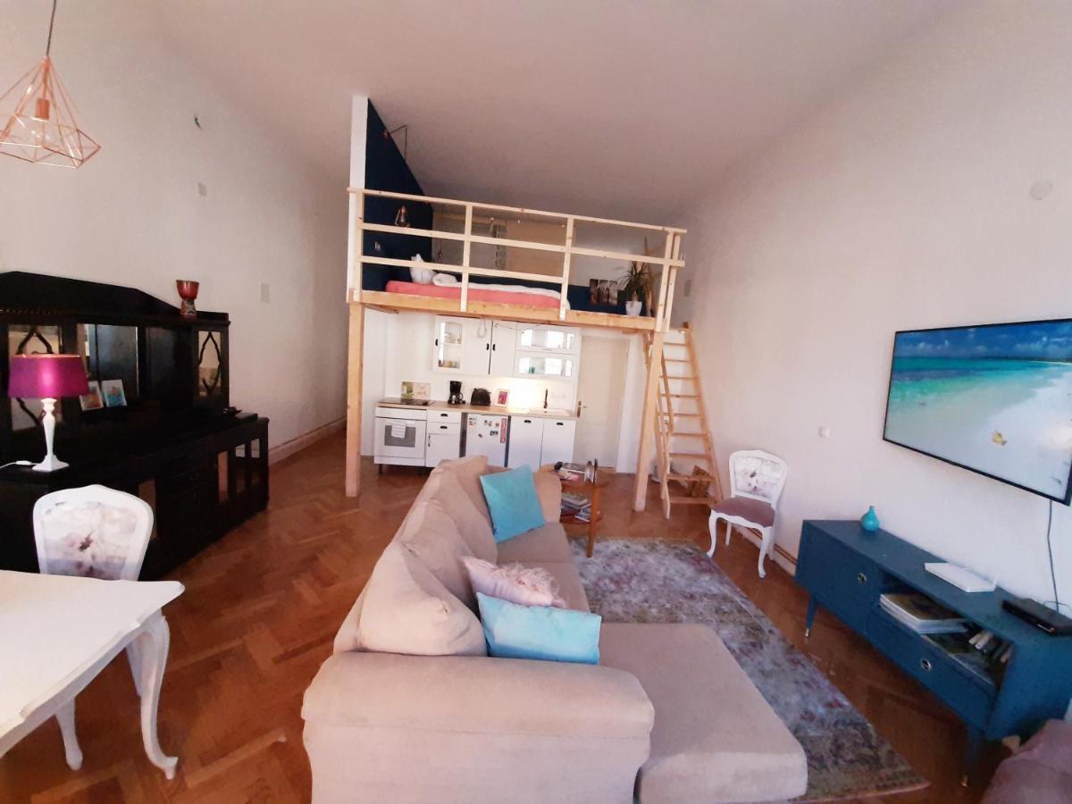 Central Loft Apartment 布拉索夫 外观 照片