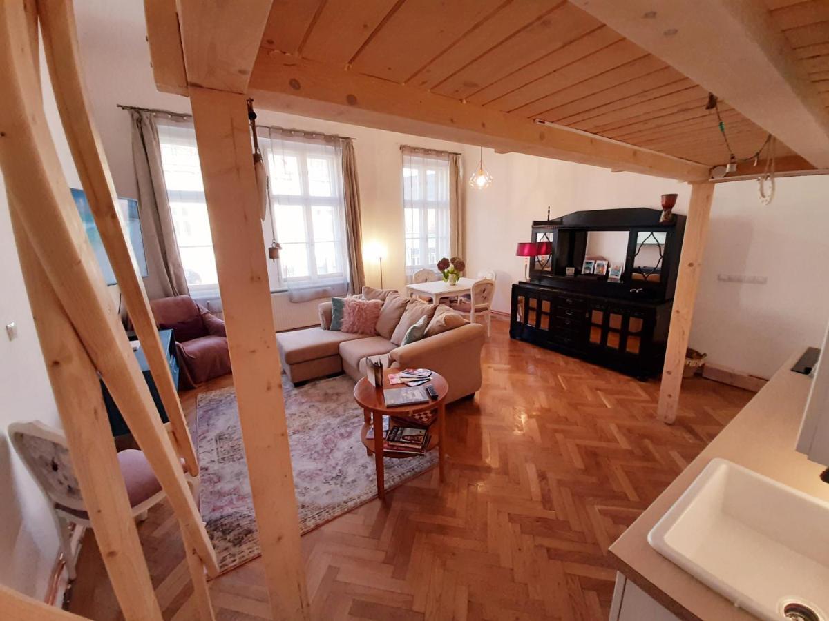 Central Loft Apartment 布拉索夫 外观 照片