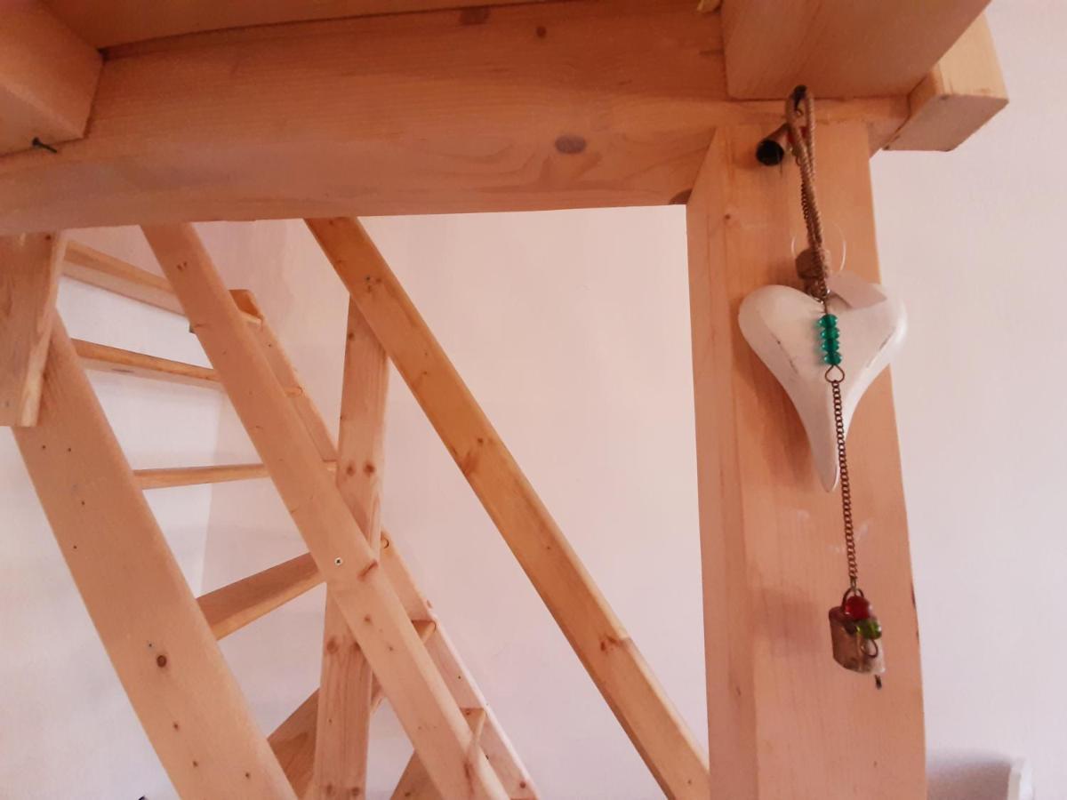 Central Loft Apartment 布拉索夫 外观 照片